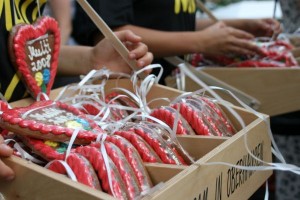 farewell 22 ilka regber img 6708