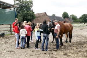 100728 rm Projekt 1 1070-1