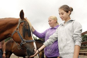 100728 rm Projekt 1 1091-1