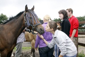 100728 rm Projekt 1 1092-1