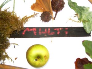 BILD0309