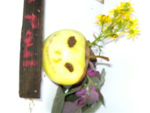 BILD0329