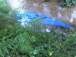 BILD0346