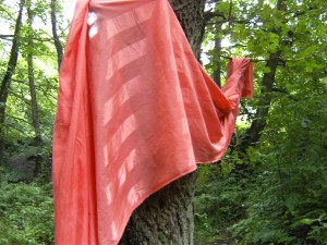 BILD0350