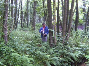 BILD0351