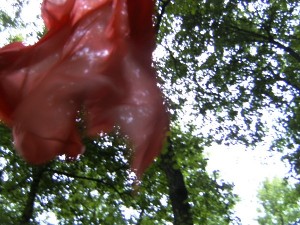 BILD0353