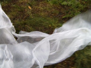 BILD0361