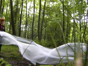 BILD0371