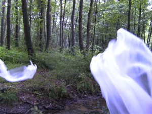 BILD0372