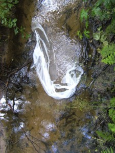 BILD0377
