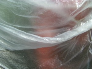 BILD0385