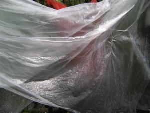BILD0386