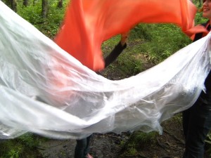 BILD0388