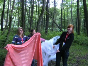BILD0389