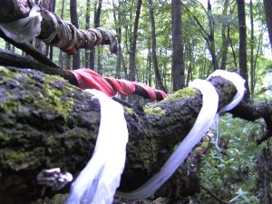 BILD0415