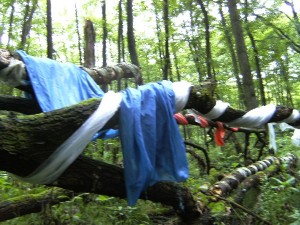 BILD0419