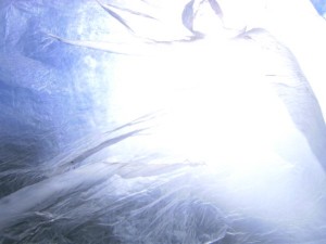 BILD0428