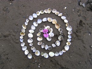 BILD0481