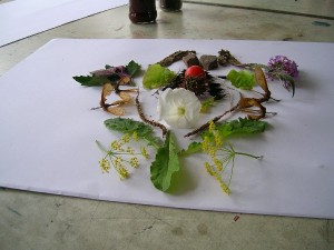 DSCN4298