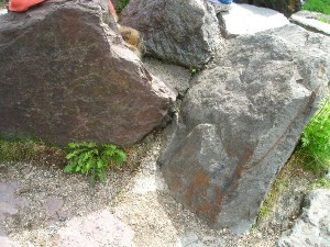 DSCN4317