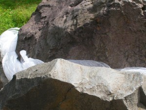 DSCN4322