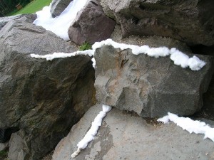 DSCN4346