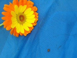 DSCN4362