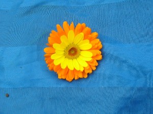 DSCN4364
