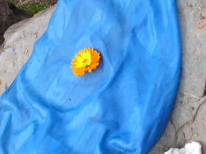DSCN4365