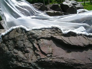 DSCN4374