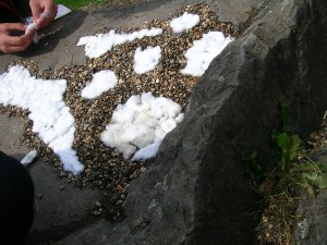 DSCN4388