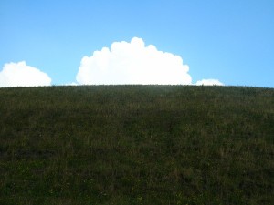 DSCN4463