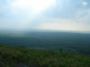 DSCN4464