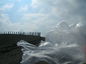 DSCN4477