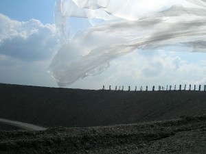 DSCN4480