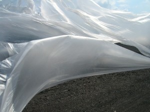 DSCN4481