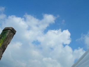 DSCN4492