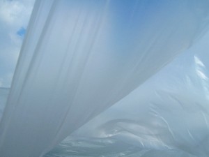 DSCN4493