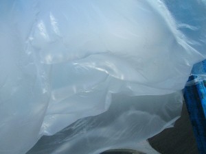 DSCN4494