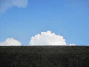 IMG 1072