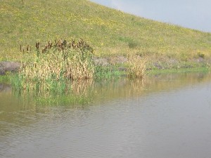 IMG 1073