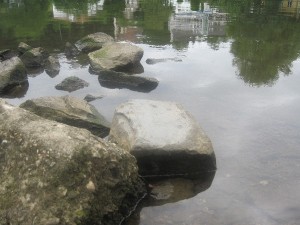 IMG 1081