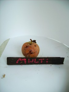 PICT0134