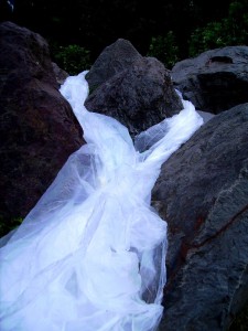 PICT0182