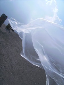 PICT0211
