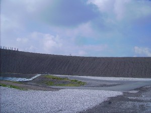 PICT0239