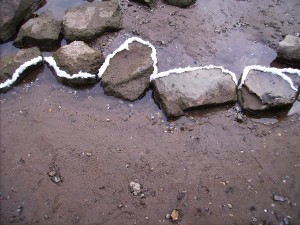 PICT0265