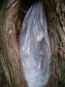 PICT0271