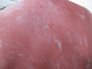 img 4455