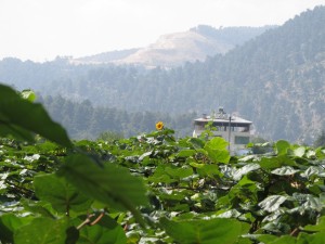 img 4584